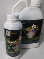 Planty - זלמנסון