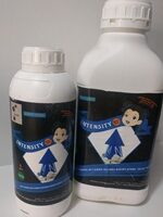 Intensity - זלמנסון