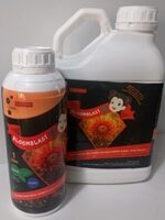 Bloom Blast - זלמנסון
